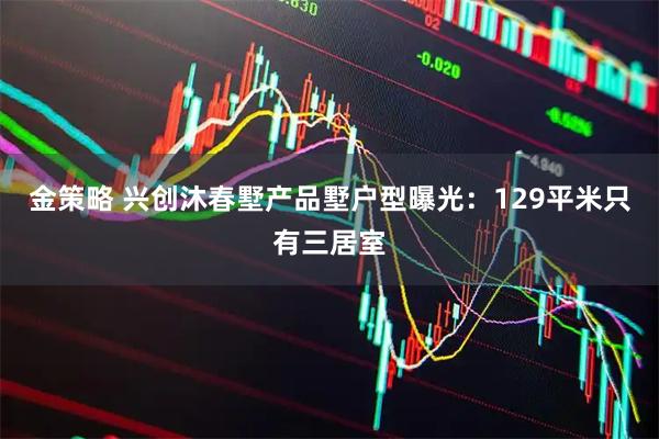 金策略 兴创沐春墅产品墅户型曝光：129平米只有三居室