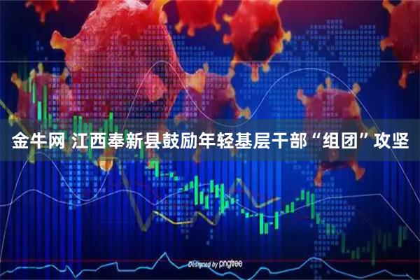 金牛网 江西奉新县鼓励年轻基层干部“组团”攻坚