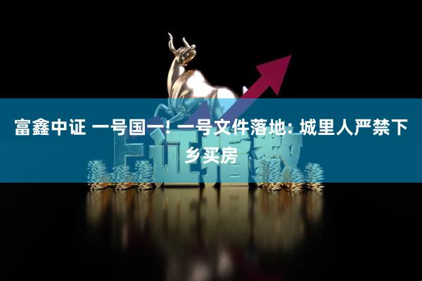 富鑫中证 一号国一! 一号文件落地: 城里人严禁下乡买房