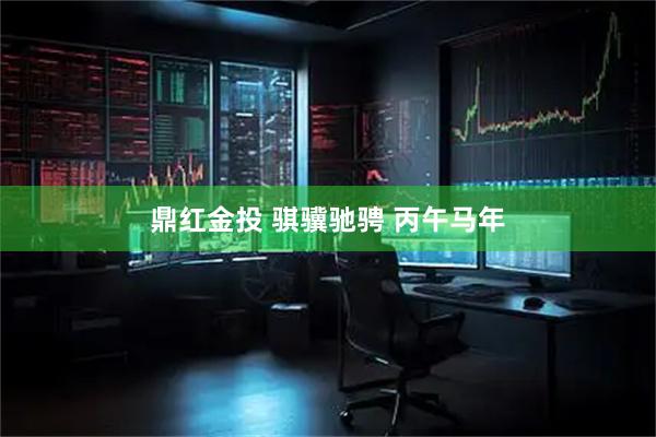 鼎红金投 骐骥驰骋 丙午马年