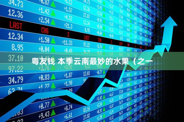 粤友钱 本季云南最妙的水果（之一